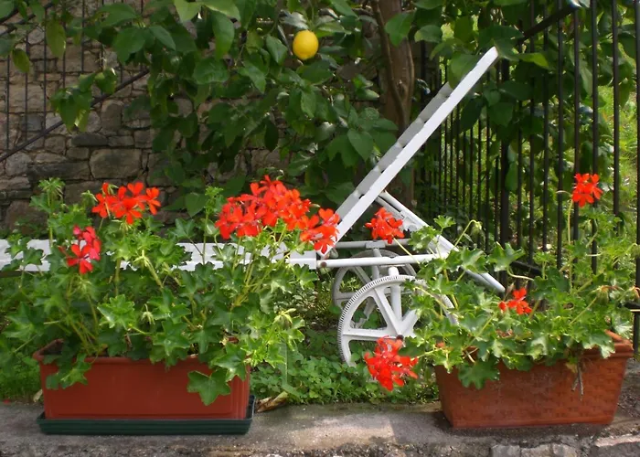 New Piccolo Apartmán *